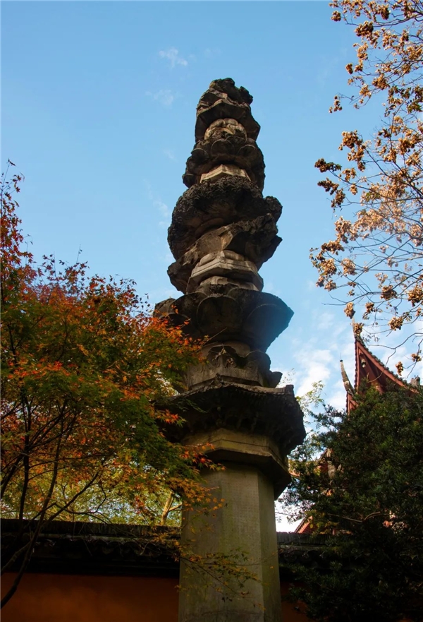 image007.jpg image007.jpg