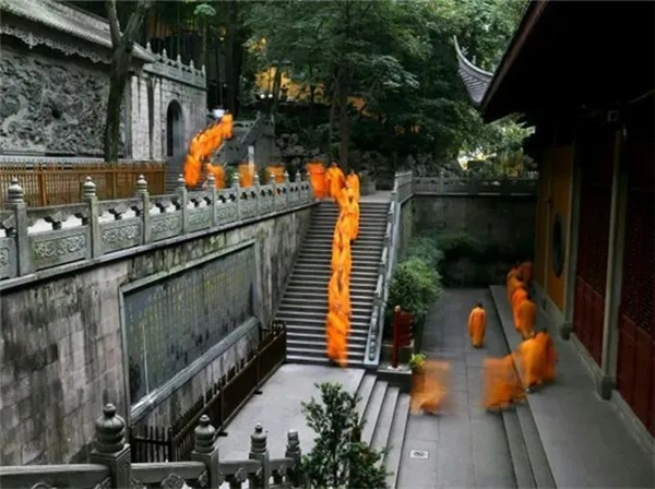 image003.jpg image003.jpg