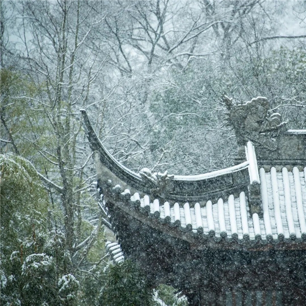 image002.jpg image002.jpg