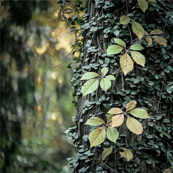 image005.jpg image005.jpg