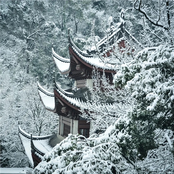 image006.jpg image006.jpg