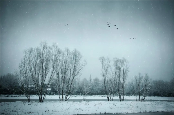 image008.jpg image008.jpg