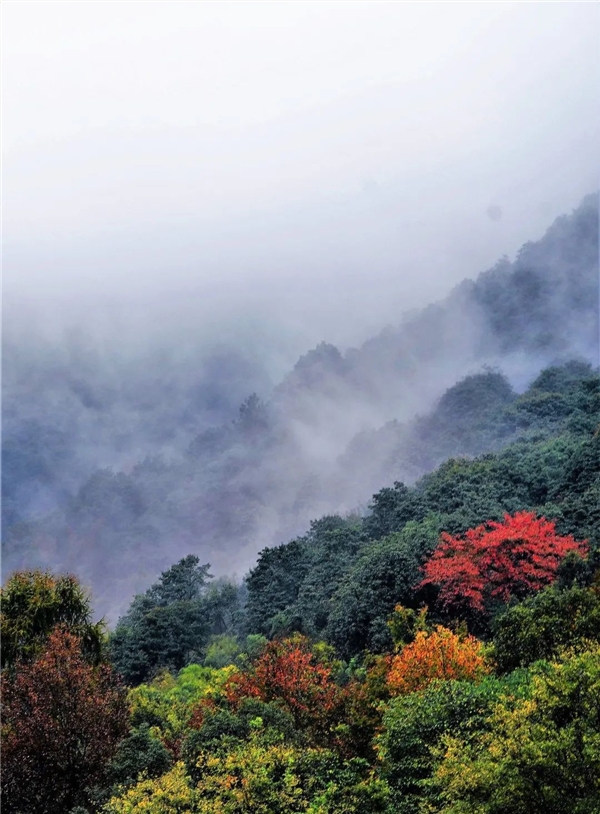 image001.jpg image001.jpg