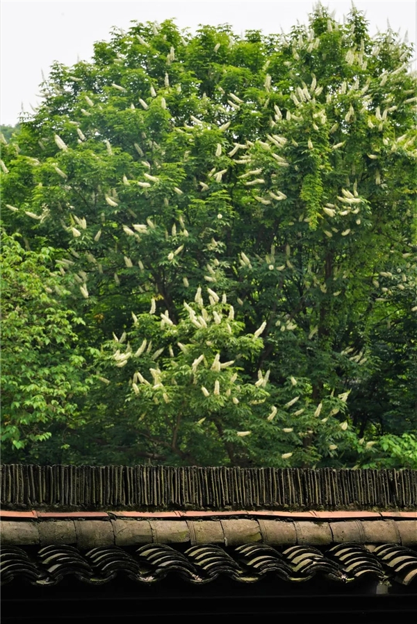 image002.jpg image002.jpg