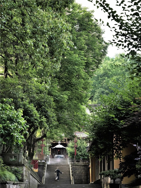 image003.jpg image003.jpg