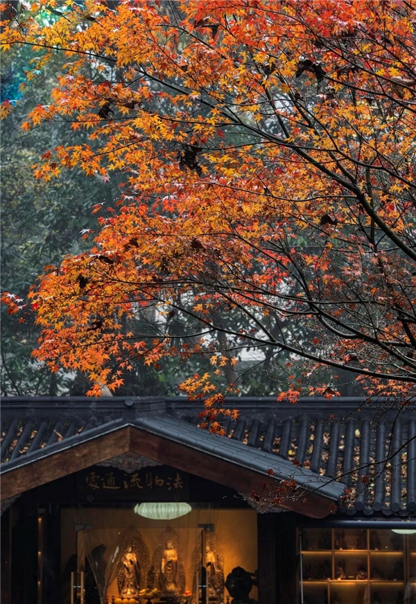 image004.jpg image004.jpg