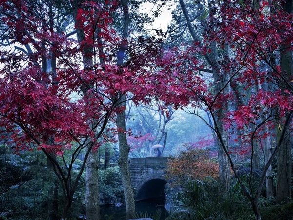 image005.jpg image005.jpg