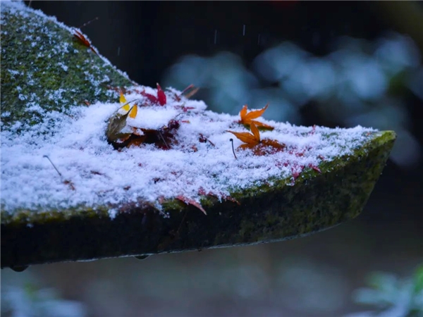 image001.jpg image001.jpg